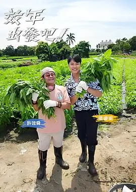 五十公里桃花坞4 八哥影院社交观察综艺